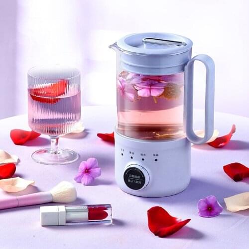 110V/220V multifunctional health pot heating automatic glass tea cooker kettle water tea separate bottle water jug
