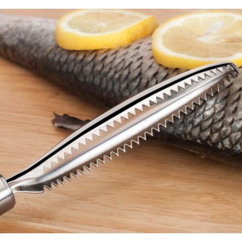 Stainless Steel Scale Scraper Fish Skin Brush Cleaner Peeler Scaler Remover Cleaning Brush Fishing Seafood