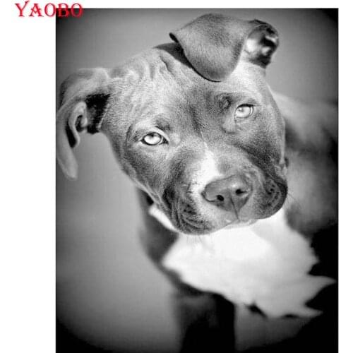 5d diamond painting full drill square Black and White Pitbull Dogs Photo Diamond Embroidery Animal Patterns Rhinestone Mosaic