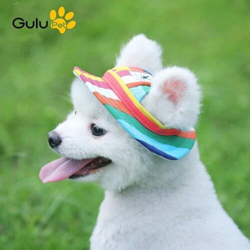 Boratat Hats For Dogs