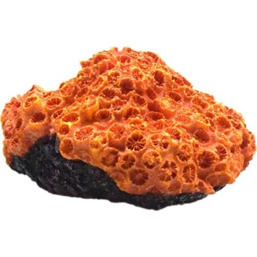 Resin Aquarium Artificial Coral Ornaments Betta Fish Hide Cave Shrimp Hideouts Fish Tank Landscape Aquatic Plants Decoration