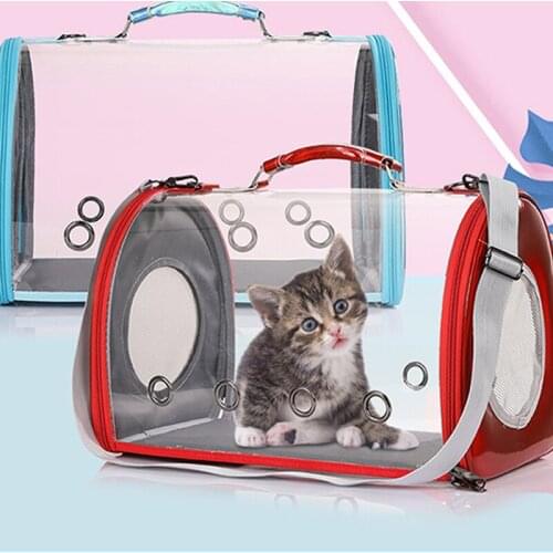 Porous And Ventilated Cat Bag Comfortable Space Alll Skylight Puppy Pet Dog Cat Backpack Easy To Carry Out Cat Transparent Bags