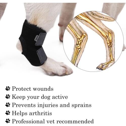 1Pc Dog Canine Rear Leg Knee Brace Hock Joint Wrap for Heals and Prevents Injuries and Sprains Helps with Loss of Stability