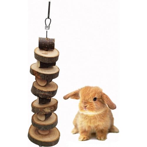 Rabbit Chew Toy Apple Wooden Tooth Grinding Tools Chinchilla Rabbit Small Animals Teeth Chewing Pet Cage Hamster Tools