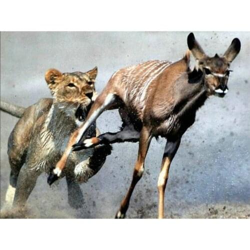 5d diy diamond painting lions rushing food deer full square 3d diamond mosaic animal kit embroidery crafts decoration