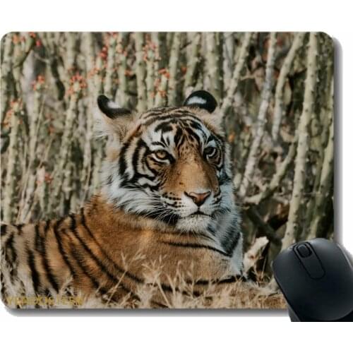 Non-Slip Rubber Gaming Mouse Pad,Tiger Lying Predator 120567 Comfortable Mouse Mat For Gaming And Office