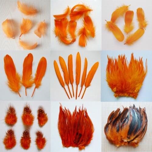 20pcs 11 kind Orange Color Pheasant tail Chicken feathers Goose Rooster Plumas for Party DIY Craft decoration Ostrich feather