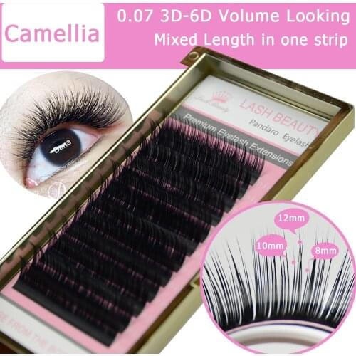 Camellia Eyelash Pandora 3D-6D 0.07 Volume Eyelash Extensions Mixed Length in One Lash Strip Fancy Packing Lash Box