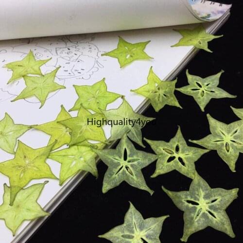 20pcs Dried Pressed Exopy Fruit Carambola Slices Plant Herbarium For Jewelry Photo Frame Phone Case Craft DIY Making Accessories