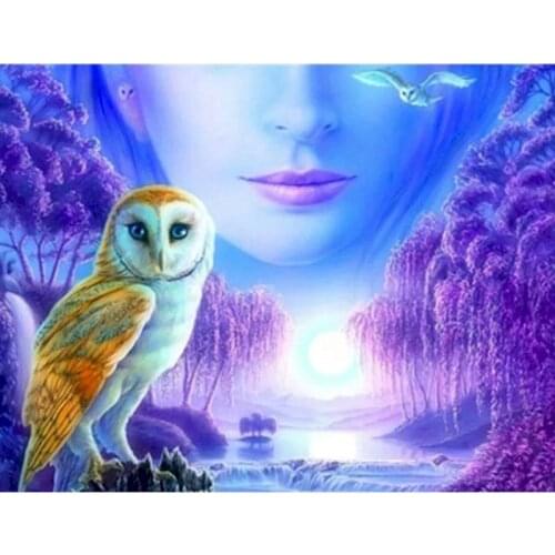 5D DIY Diamond Painting Owl And Face Full Square Round Craft Kit Diamond Embroidery Cartoon Needlework Dog Christmas Gift
