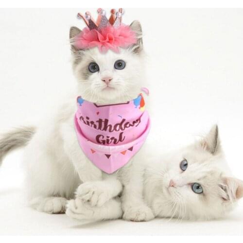 Pet Dogs Cat Birthday Bibs Caps Set Suit for Birthday Christmas Party Dog Pet Napkin Hat Scarfs