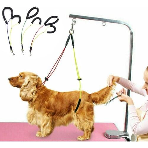 No-Sit Haunch Holder Dog Cat Beauty Table Tether Pet Grooming Noose Stainless Steel Wire Rope Restraint Noose For Grooming Table