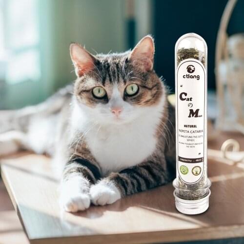 30g Natural Catnip Organic Premium Catmint Cat Toy Nepeta Cataria Sprinkled On Toys For Kitten Catmint Toy Cat Supplies