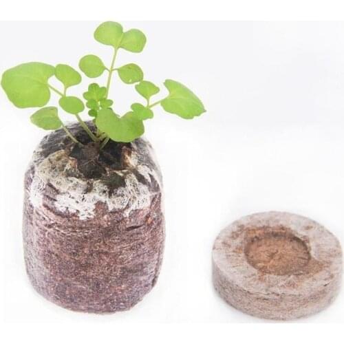 1PCS Organic Coir Brick Seeding Soil Block Aseptic Coco Peat Coconut Powder Peat Nutrient Orchid Soil Matrix Nursery Pots