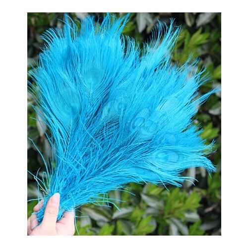 50Pcs/Lot 10-12 Inch 25-30cm Dyed Sky Blue Peacock Eye Feathers FREE SHIPPING