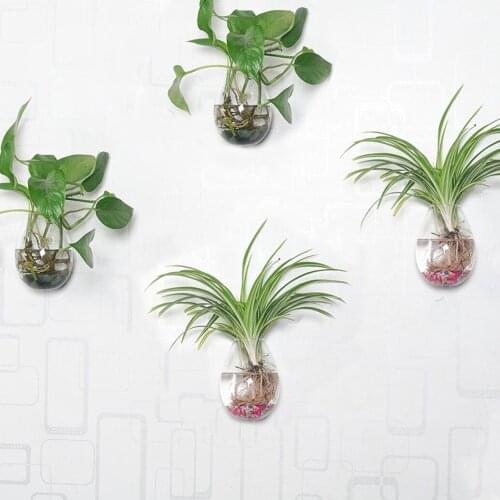 Pack of 4 Wall Hanging Planters Glass Terrariums Wall Plant Pots Glass Flower Pots Glass Plant Containers