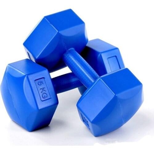Fitness Equipment Gym Sport Spin 5 Kg X 2 PCs Plastic Blue Dumbbell Cs-568