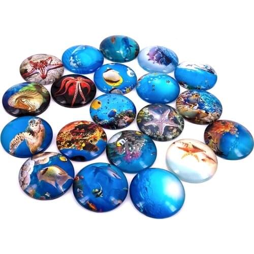 40pcs/lot 10/12/14/16/18/20/25mm Round Sea Life Star Pattern Glass Cabochon for DIY Jewelry Making Findings & Components T011