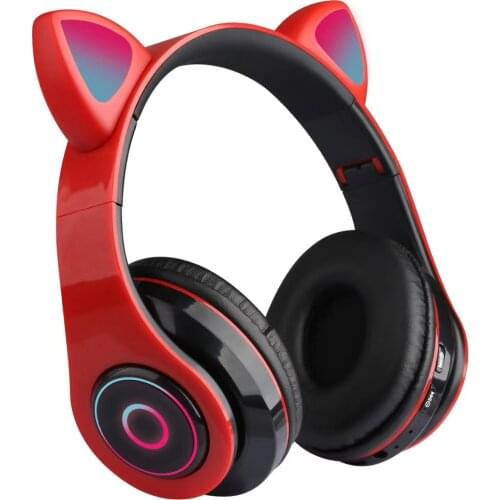 PYTHON FLY Portable Audio Equipment