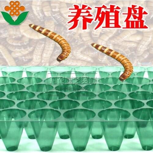 High quality 70-hole pupa plate barley insects pupal plate pupa box culture plate free shipping