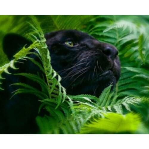 Full SquareRound Drill 5D DIY Diamond Painting Black Panther 3D Embroidery Cross Stitch Mosaic Home Decor ZH
