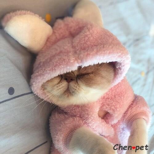 Cute sweet winter Soft Warm Pet Dog costumes Clothes for Dogs Pajamas Fleece Coat Jacket Chihuahua Yorkshire Ropa Perro