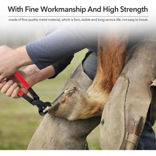 8PCS Horse Farrier Hoof Nipper Trim Shoeing File Rasp Horse Handle Hoof Cutter Tool Horse Manicure Care Tool Sets