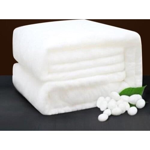 Winter Autumn Silk Blanket 100% Nutural Mulberry Sillk Filler Quilts Handwork Positioning 100% Cotton Cover Home Textile Duvets