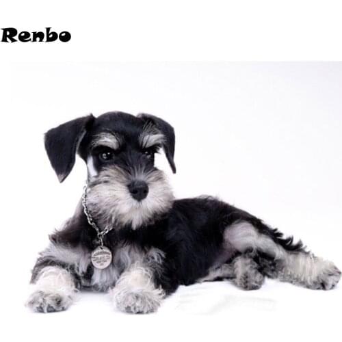 5D Diamond mosaic dog,hobby craft,diy,diamond embroidery,diamond painting Schnauzer cross stitch full square/Round deocr