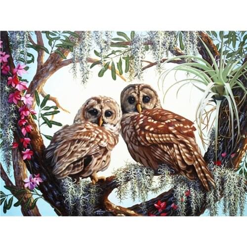 5D DIY Diamond Painting Owls Needlework Full Square Resin Diamond Painting Embroidery Mosaic Cross Stitch Handicraft Gift