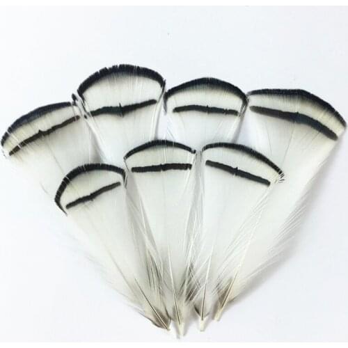 Natural Pheasant Feathers for Crafts 4-8cm/2-3" White Feathers for Jewelry Making Carnaval Assesoires Plume Feather Decor Plumas