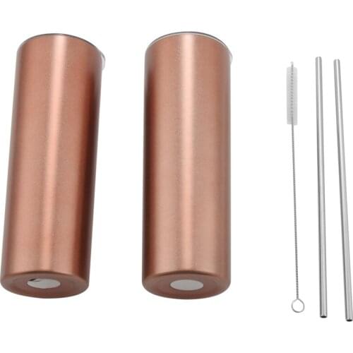 2 Pack Classic Practical 20 Oz Stainless Steel Double-Insulated Water Tumbler Cup with Lid and Straw Vacuum Travel Mug Gift