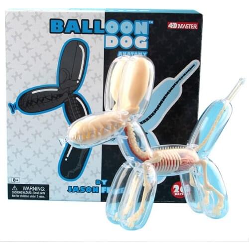 Jason Freeny 26parts 4d Big Balloon Dog Transparent Skeleton Model Perspective Bone Anatomy Puzzle Assembling Veterinary Toy