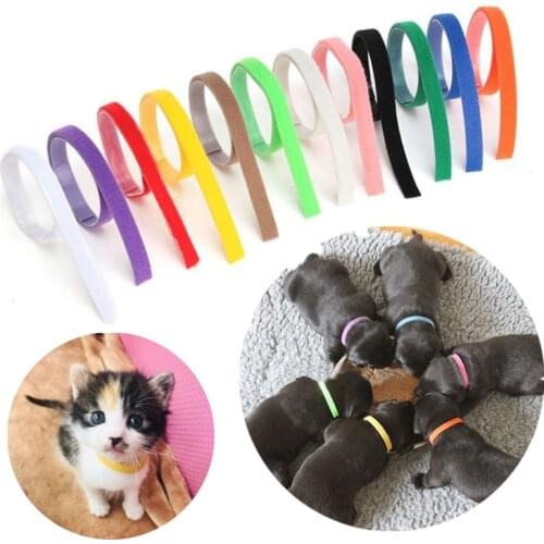 12pcs/Lot Nylon Pet Dog Cat Identification Collar Adjustable Pet Id Collar Tags For Dogs Cats Puppy Dog Leash Pet Accessories