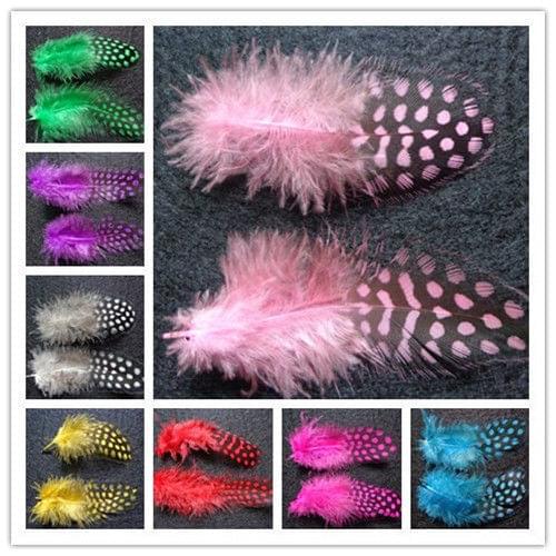30pcs beautiful Guinea Fowl feather 5-10cm display