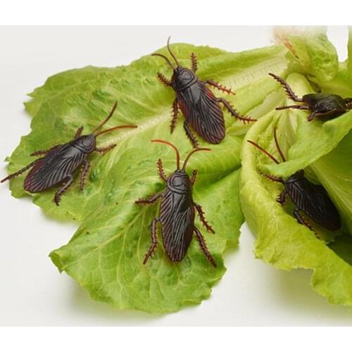 Simulation April FoolS Day Toy Fake Scorpion Gecko Flies Small Strong Whole Scorpion Fake Cockroach Scary