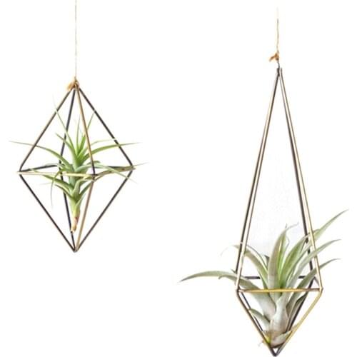 Metal Wrought Iron Geometric Plant Holder Fine Hanging Tillandsia Air Plants Freestanding Wall Tillandsia Plants Rack
