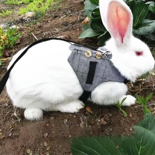 Pet Walking Set Tool Rabbit Chest Strap Dog Gentleman Vest Rope Strap Draw Rope Training Walking Pet Running Accessories