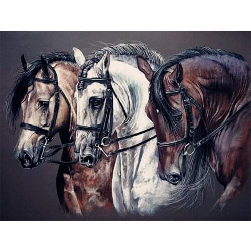 5d Square/Round Diamond Painting Animals Beadwork Diamond Horse Embroidery Hobby and Handicraft Diamond Mosaic Full Display