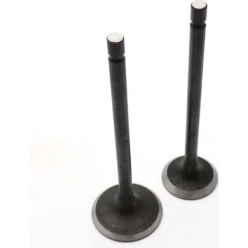 Motorcycle Valve Set Intake Exhaust for WH125 Scooter Parts