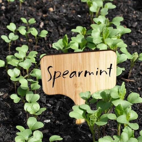 50/100Pcs Durable Plant Markers Bamboo T Shape Vegetables Plant Labels Tags Garden Markers DIY Garden Supplies