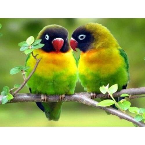 Diamond Mosaic Parrot With Square/Round Stones Animal Diamond Painting Picture Of Rhinestones Home Decoration Diamond Art FH216