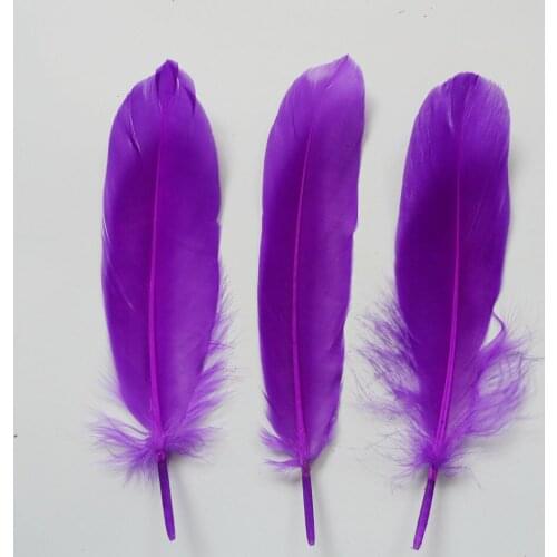 Wholesale 1000Pcs Purple Natural Plume Goose Feathers For DIY Crafts Christmas Cosplay Hat Clothing Shoes Accessories Decoration