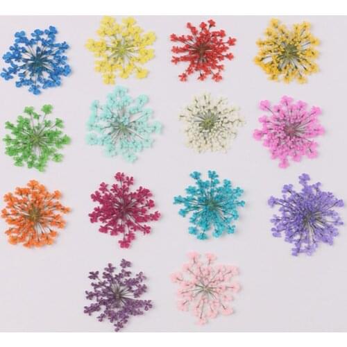 100Pcs Natural Pressed Decorative Dried Flowers Dried Flower Petals Artificial Flowers DIY Nail Craft Phone Case Dried Flowers