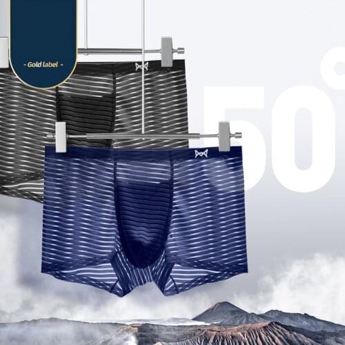 Sexy Underwear Men Boxers Cool Ice Silk Panties Man Transparent Mesh Pouch Underpants Male Seamless Boxershorts Cueca Plus Size