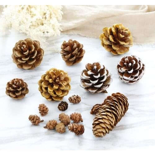 10pcs Natural Pine Cones Photo Props Accessories Christmas Decoration Tree Toppers Pinecone Xmas New Year DIY Party Decoration