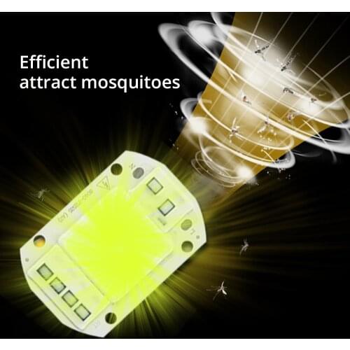 Foxanon Mosquito Lamps