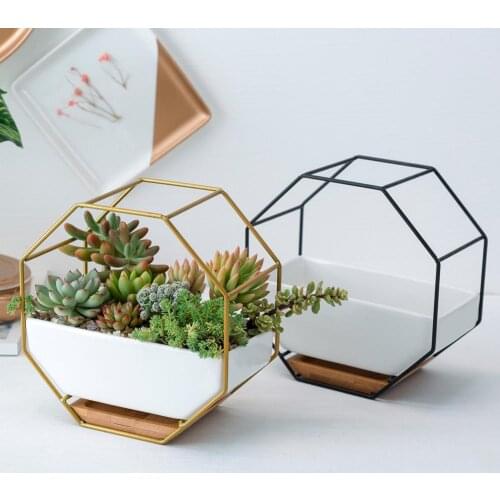 Octagon Wall Hanging Succulent Plant Flower Pot Table Ceramic Dish Vase Decor a flower pot plant/flower pot planter garden groot