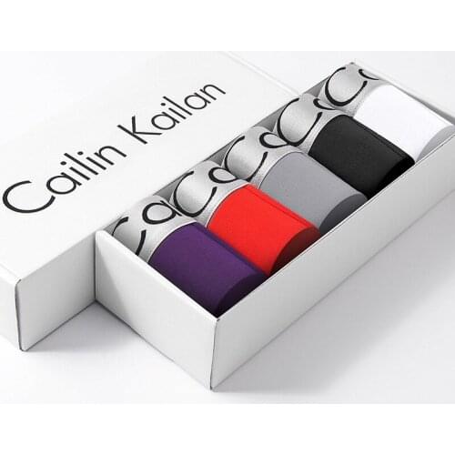 5pcs Boxer Shorts Underpants man Mens Panties Men Boxer Underwear Cotton for Male Couple Sexy Set Calecon Large Size Lot Soft