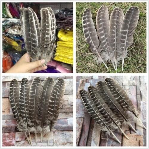 Wholesale 50/100PCS Beautiful 9-12inches/22-30cm Natural Wild Turkey Tail Feathers DIY jewelry Wedding Christmas Decoration